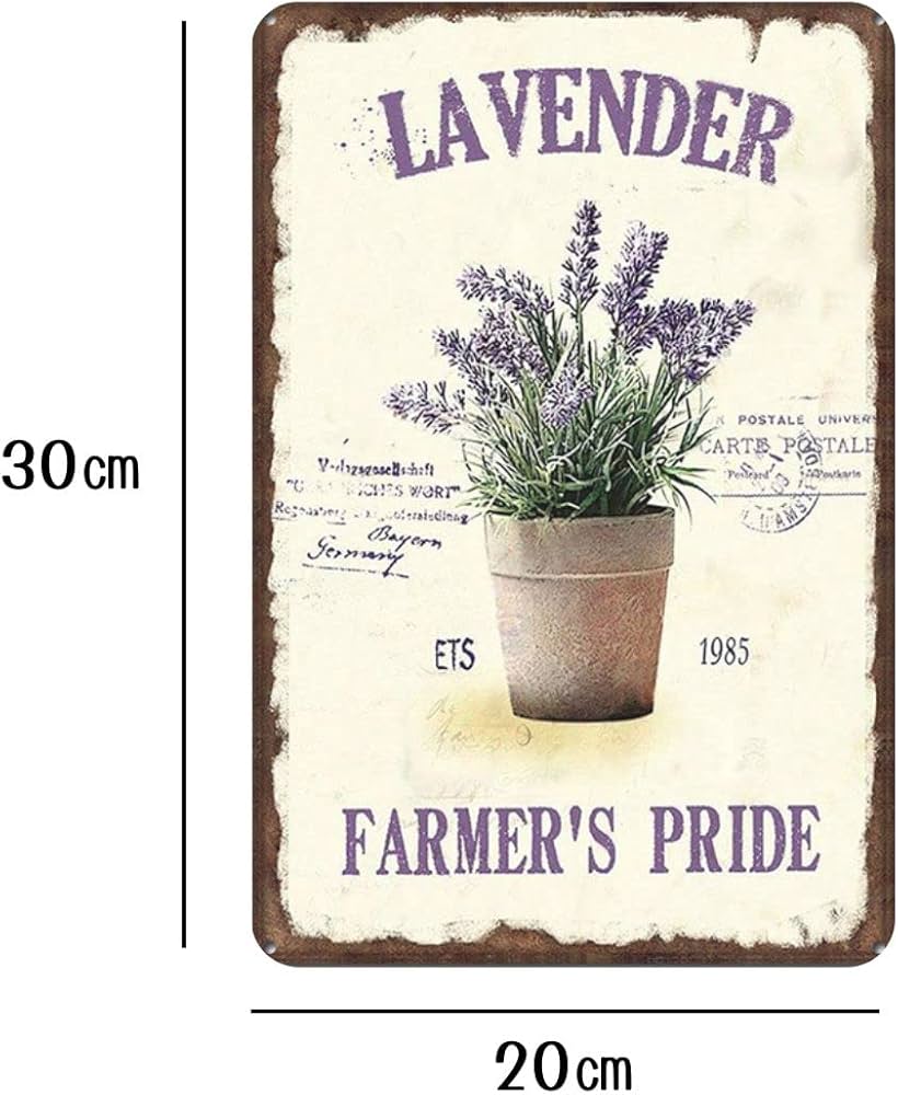 61q2GTi+AHL._AC_UF1000,